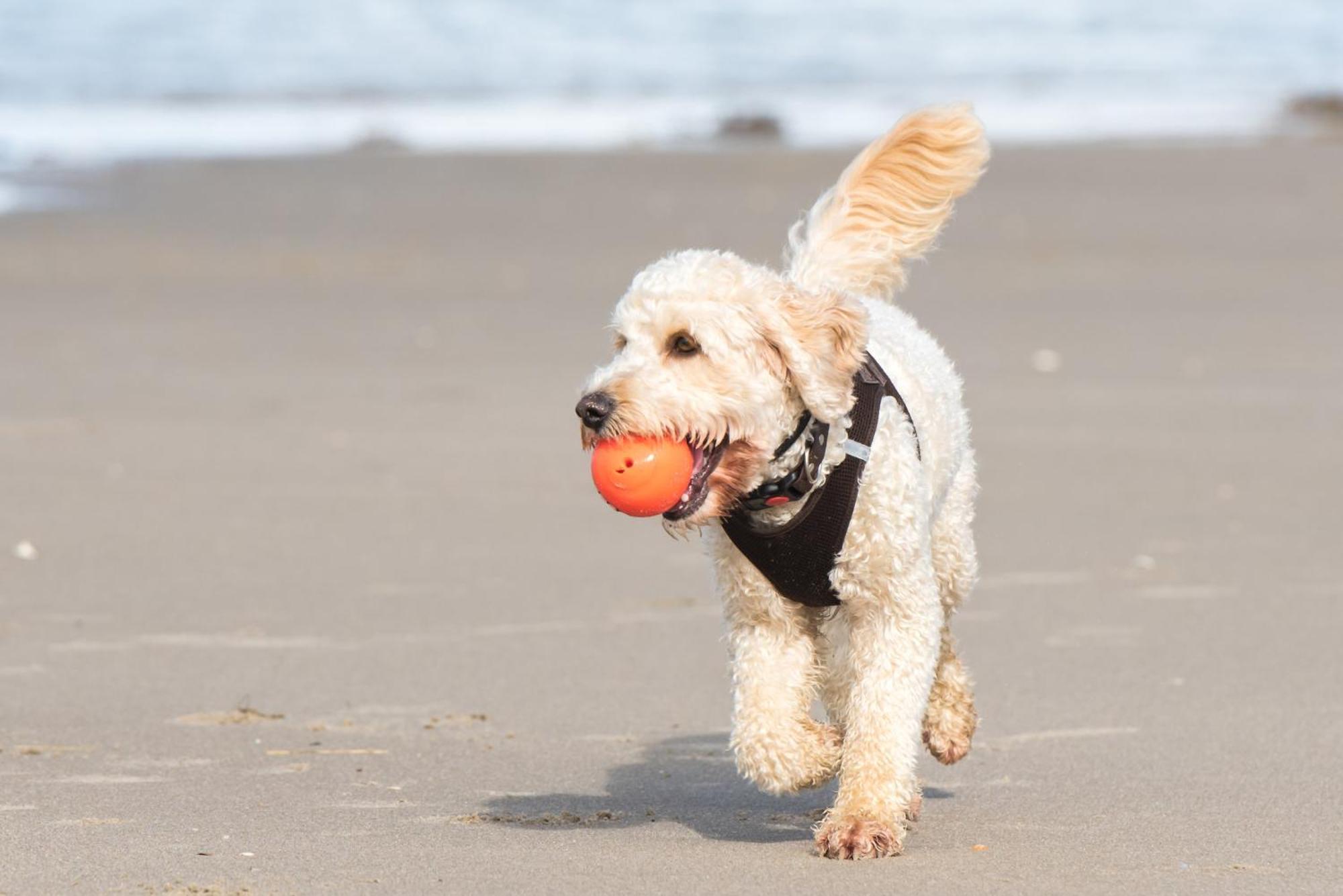 Holiday Inn Express Hilton Head Island By Ihg Экстерьер фото